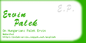 ervin palek business card